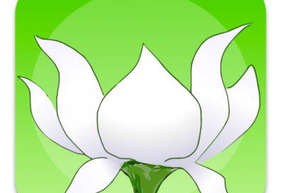 lotus bud